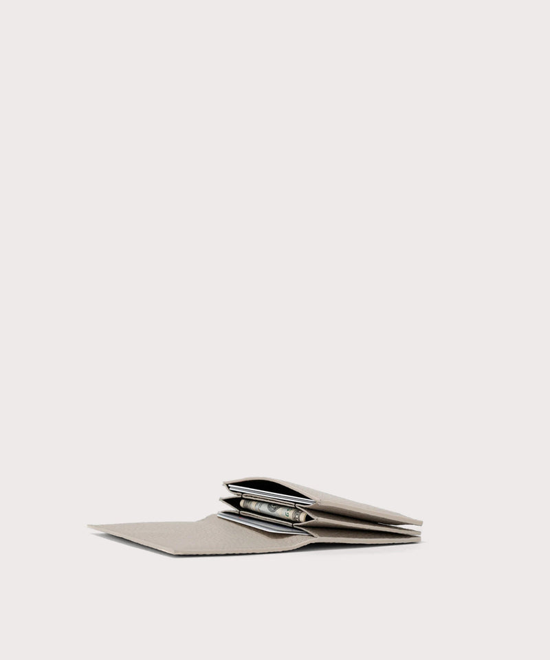 Accordion Card Case in Bone